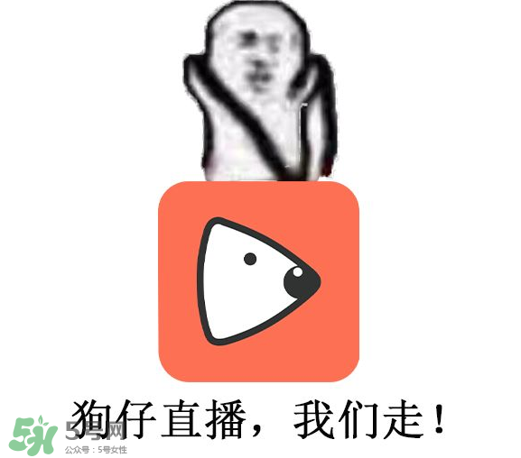 黃鱔為什么火了？黃鱔我們走為什么火了？