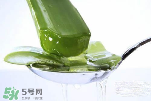 黃瓜水和蘆薈水哪個好？黃瓜水和蘆薈水功效區(qū)別