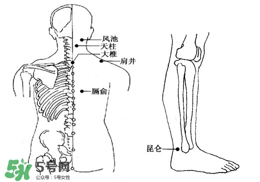 刮痧能治頸椎病嗎？頸椎病刮痧正確圖片