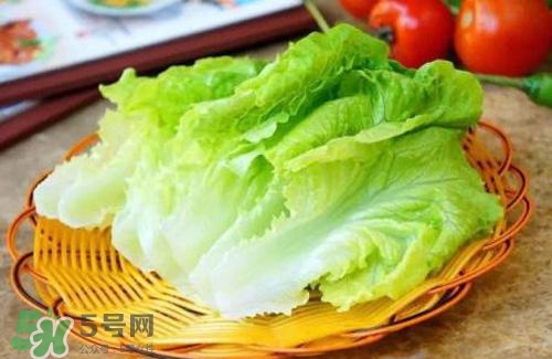 生菜可以放冰箱嗎？生菜可以放冰箱多久？