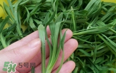 面條菜是發(fā)物嗎?面條菜孕婦可以吃嗎?