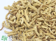 東洋參的營養(yǎng)價(jià)值_東洋參的功效與作用及食用方法