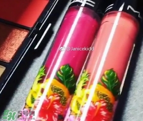 mac2017夏季fruity juicy系列有哪些？