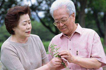 高血脂能不能吃雞蛋？血脂高可以吃雞蛋嗎