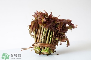 香椿樹什么時(shí)候發(fā)芽？香椿樹什么時(shí)候種植