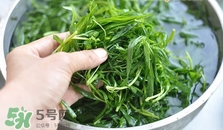 掃帚菜怎么做好吃？掃帚菜怎么吃好吃