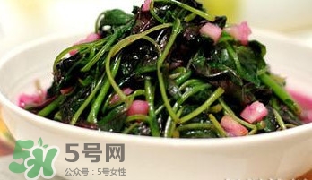 莧菜怎么吃？莧菜怎么炒