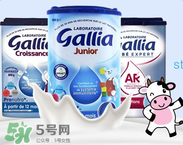 gallia佳利雅是什么品牌？gallia佳利雅奶粉是哪個(gè)國(guó)家的品牌？