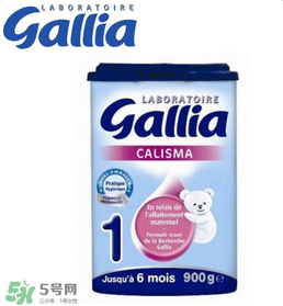 gallia佳利雅奶粉怎么沖？gallia佳利雅奶粉沖調(diào)方法？