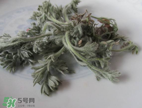 白蒿能治黃疸嗎？白蒿水可以治黃疸嗎？