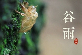 谷雨養(yǎng)生吃什么？谷雨養(yǎng)生常識