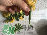 黃瓜花能吃嗎？黃瓜花怎么吃