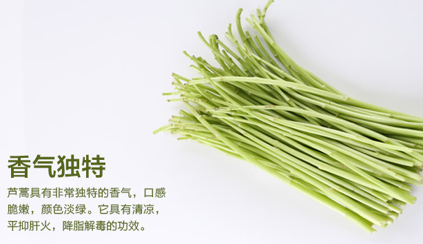 蘆蒿是發(fā)物嗎？蘆蒿是不是發(fā)物