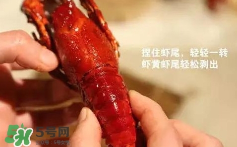 蝦子怎么吃？蝦子的吃法