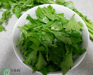 芹菜葉怎么吃？芹菜葉吃法