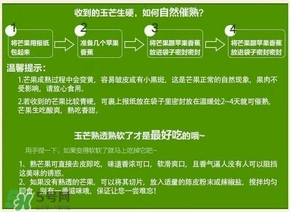 貴妃芒果硬的能吃嗎？貴妃芒果青的能吃嗎