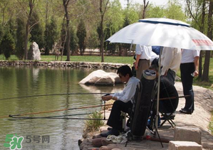 立夏好釣魚嗎？立夏怎么釣魚？