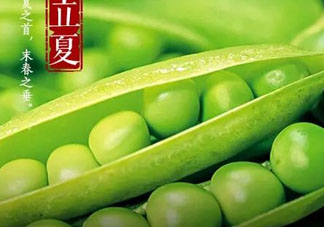 立夏吃什么好？立夏吃什么蔬菜？