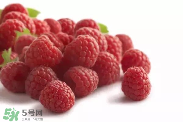 樹(shù)莓可以直接吃嗎？樹(shù)莓里的小籽能吃嗎？