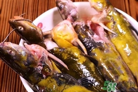 嘎魚是鯰魚嗎？嘎魚是黃辣丁嗎