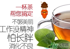 脂流茶成分 脂流茶可以減肥嗎？