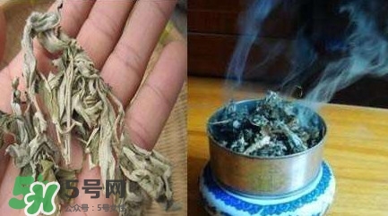 艾葉可以驅(qū)蚊子嗎？艾葉能驅(qū)蚊子嗎