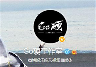 go硬工作室和卓偉有什么關(guān)系？go硬工作室是卓偉前員工成立的？