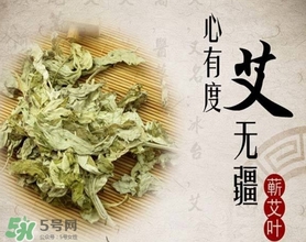 艾葉是艾蒿嗎？艾葉是什么樣的