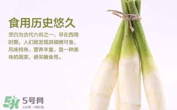 茭白是發(fā)物嗎？茭白是不是發(fā)物