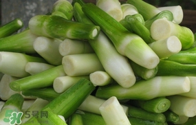 茭白是什么菜？茭白是什么植物