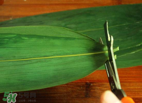 粽葉是干的好還是新鮮的好？干棕葉好還是新鮮棕葉好？