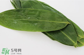 新鮮粽葉怎么處理？新鮮粽子葉怎樣處理？