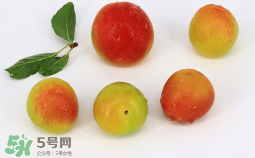 雙華李有什么營養(yǎng)？雙華李的營養(yǎng)價值