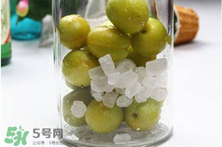 青杏酒怎么做？青杏酒的功效與作用