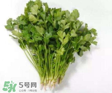 香菜洗腎有科學(xué)依據(jù)么？香菜能洗腎是真的嗎？