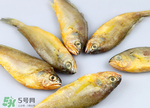 小黃魚不能和什么一起吃？小黃魚和什么相克？