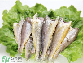 小黃魚可以養(yǎng)殖嗎？小黃魚能人工養(yǎng)殖嗎？