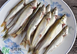 孕婦可以吃白條魚嗎？白條魚孕婦能吃嗎？