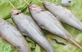 馬口魚(yú)怎么釣？馬口魚(yú)什么時(shí)候釣最好