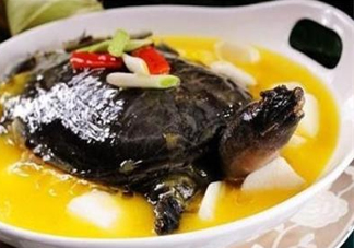 甲魚(yú)不能和什么一起吃？甲魚(yú)不能跟什么食物一起吃