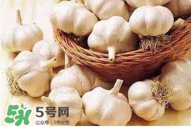 新蒜頭怎么保存不發(fā)芽？新蒜頭怎么存放