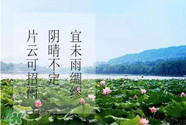 夏至是入伏嗎？夏至后多久入伏？