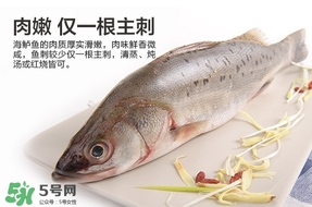 鱸魚是海鮮嗎？鱸魚是不是海鮮？