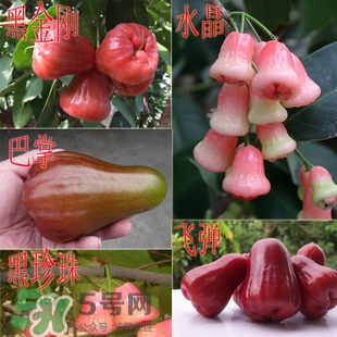 蓮霧什么季節(jié)吃最好？什么品種的蓮霧最好吃