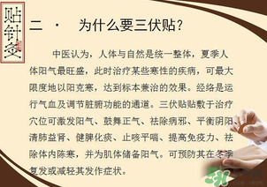 三伏貼能治什么病？三伏貼能治哪些??？