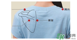 三伏貼貼在什么位置？三伏貼貼哪里？