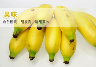 皇帝蕉多少錢一斤？2017皇帝蕉價(jià)格