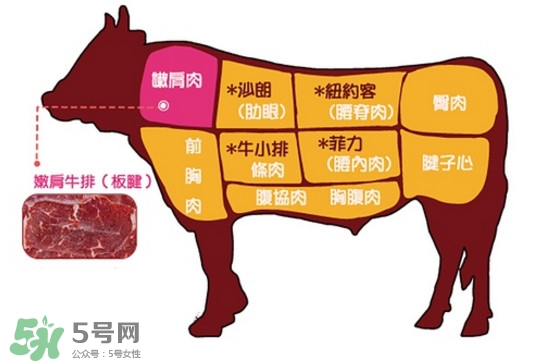 牛排是牛的哪個(gè)部位？牛排是牛身上哪塊肉？