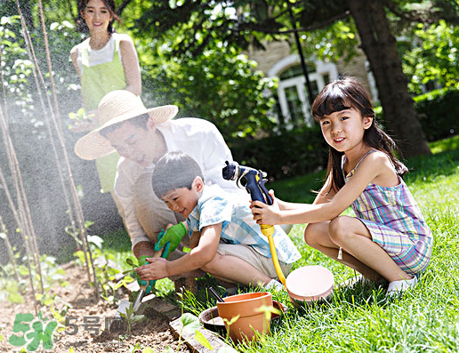 八月份可以種什么菜？八月份適合種植的蔬菜