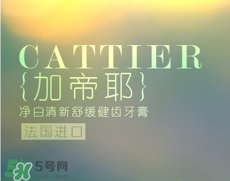 cattier加帝耶是什么牌子？法國(guó)cattier什么檔次？